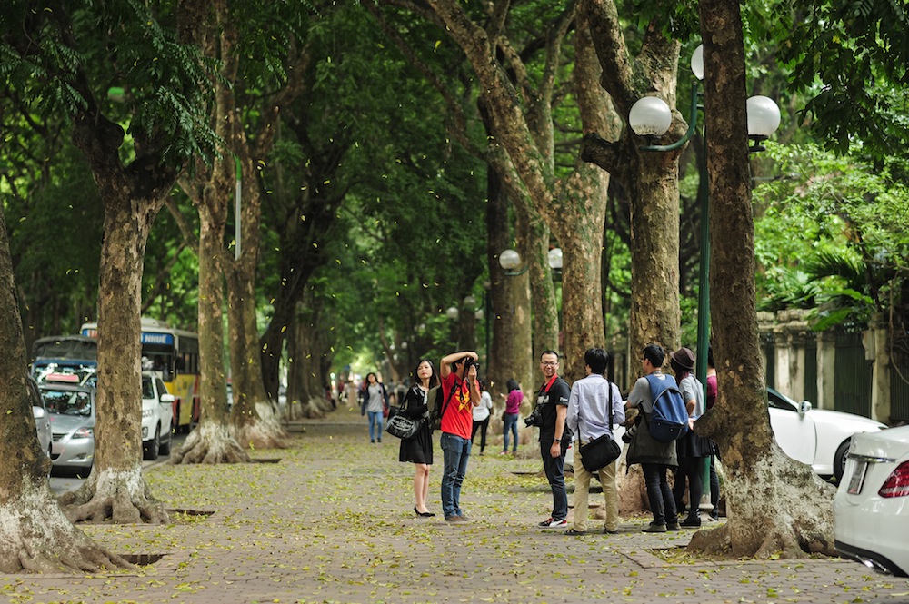 Lịch bay Đà Lạt Hà Nội