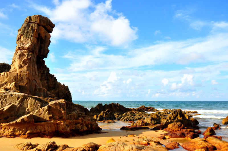Lịch bay Sài Gòn Đồng Hới
