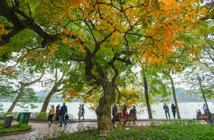 Vé máy bay Sài Gòn Hà Nội